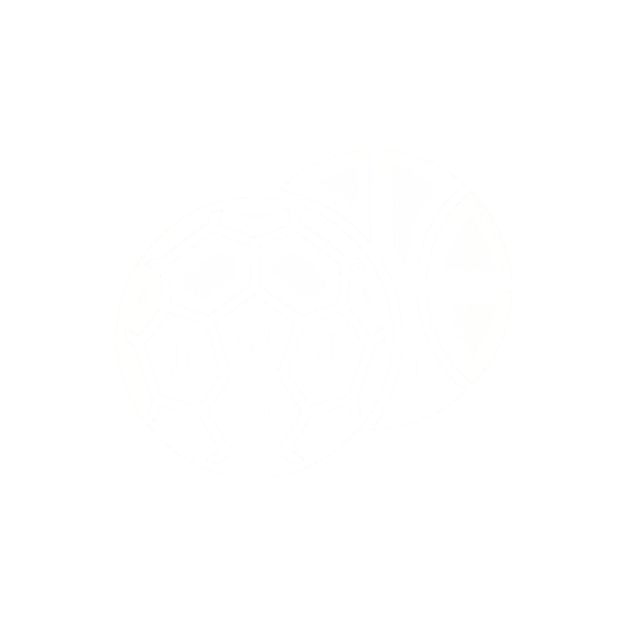 Pelotas 2025